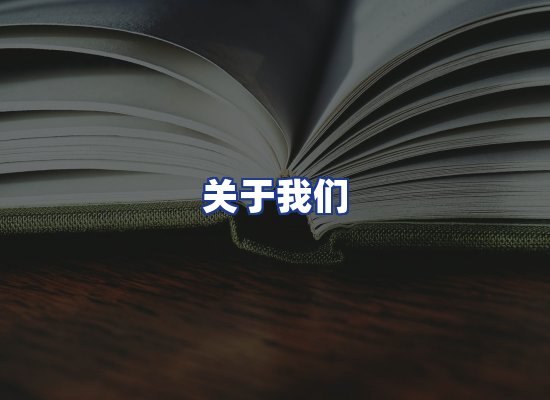专业团队
